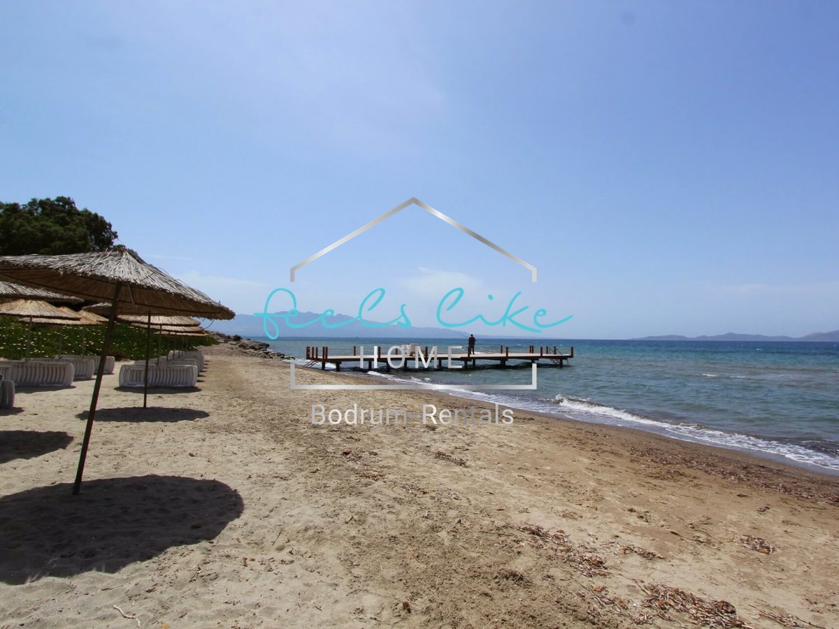 Villa Viva