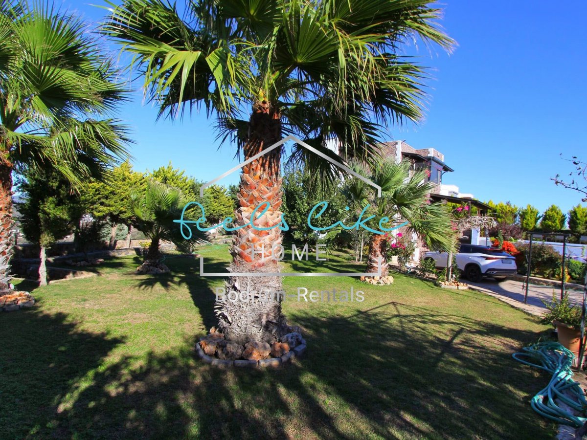 Villa Moon