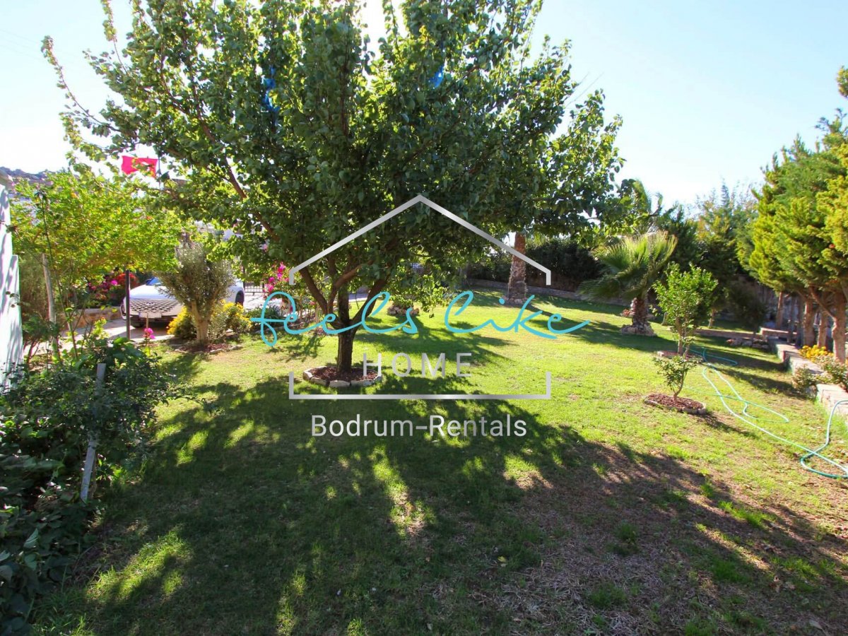 Villa Moon